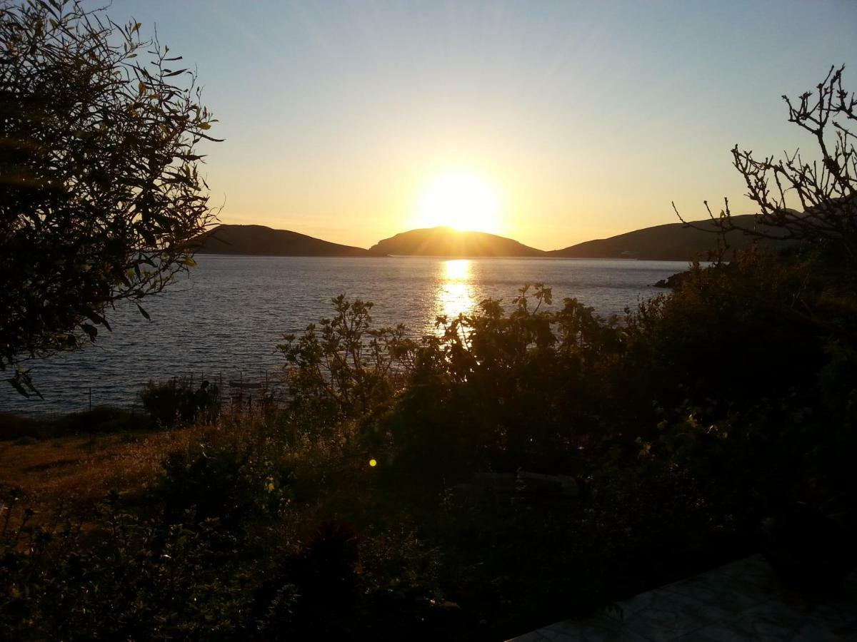 Panormitis Pizanias Houses Skalia ภายนอก รูปภาพ