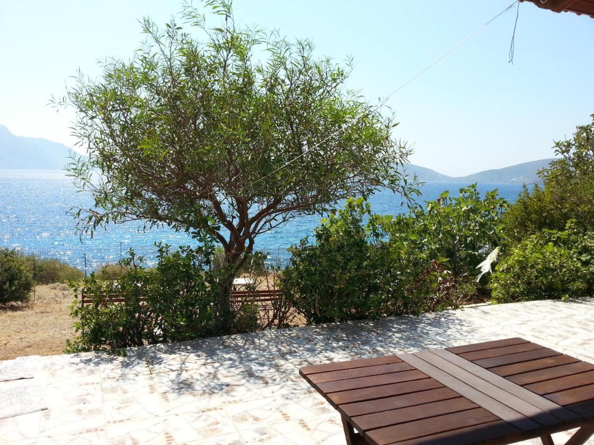 Panormitis Pizanias Houses Skalia ภายนอก รูปภาพ